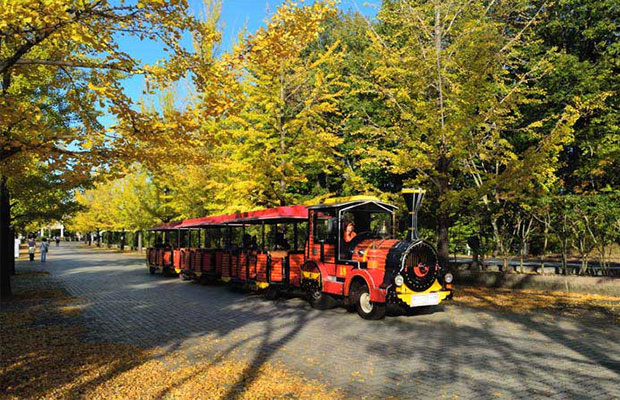 Chichibu Muse Park image